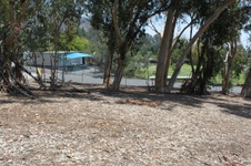 Enlarge photo 34
