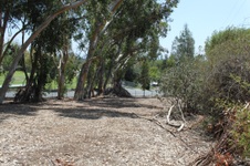 Enlarge photo 35