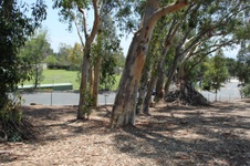 Enlarge photo 36
