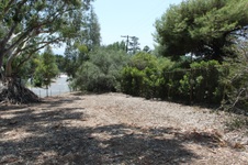 Enlarge photo 37
