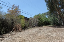 Enlarge photo 38