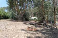 Enlarge photo 39