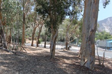 Enlarge photo 40