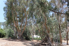 Enlarge photo 41