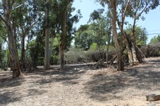 Enlarge photo 45