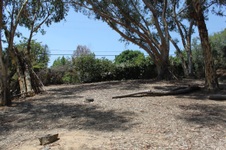 Enlarge photo 46
