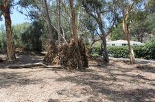Enlarge photo 47