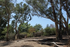 Enlarge photo 49