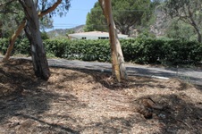 Enlarge photo 51