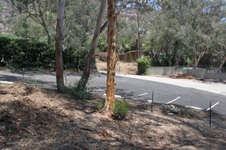 Enlarge photo 52