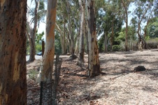 Enlarge photo 53