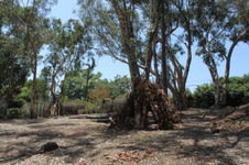 Enlarge photo 55