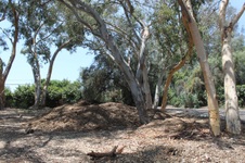 Enlarge photo 56