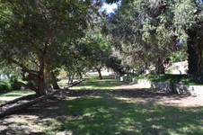 Casanova Park