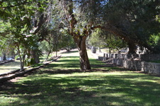 Enlarge photo 3