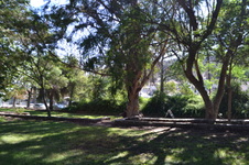 Enlarge photo 5