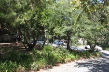 Enlarge photo 5