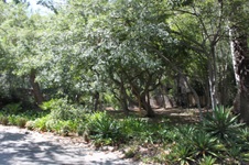 Enlarge photo 7