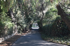 Enlarge photo 1