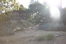Enlarge photo 19
