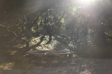 Enlarge photo 20