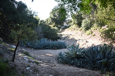 Enlarge photo 22