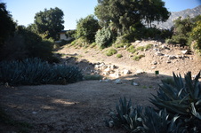 Enlarge photo 23