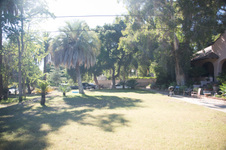 Enlarge photo 6