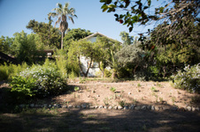 Enlarge photo 20