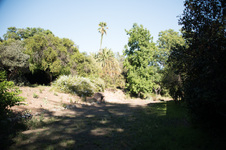 Enlarge photo 21