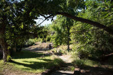 Enlarge photo 24