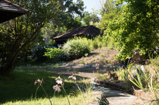 Enlarge photo 25