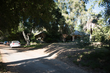 Enlarge photo 32