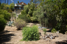 Enlarge photo 3