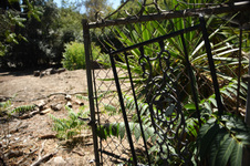 Enlarge photo 11