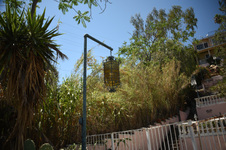 Enlarge photo 18