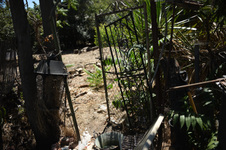 Enlarge photo 19