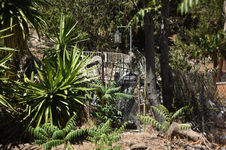 Enlarge photo 20
