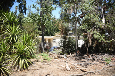 Enlarge photo 21