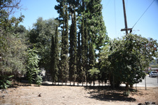 Enlarge photo 22
