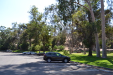 Elysian Park