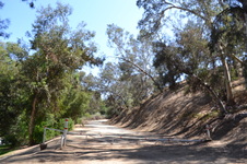 Enlarge photo 2