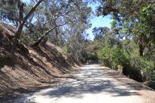 Enlarge photo 6