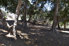 Enlarge photo 10