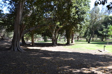 Enlarge photo 11