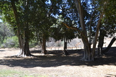 Enlarge photo 14