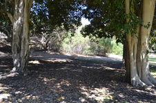 Enlarge photo 15