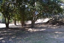 Enlarge photo 17