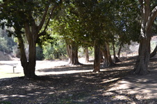 Enlarge photo 18