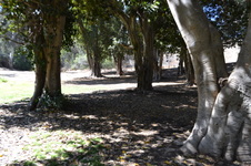 Enlarge photo 19
